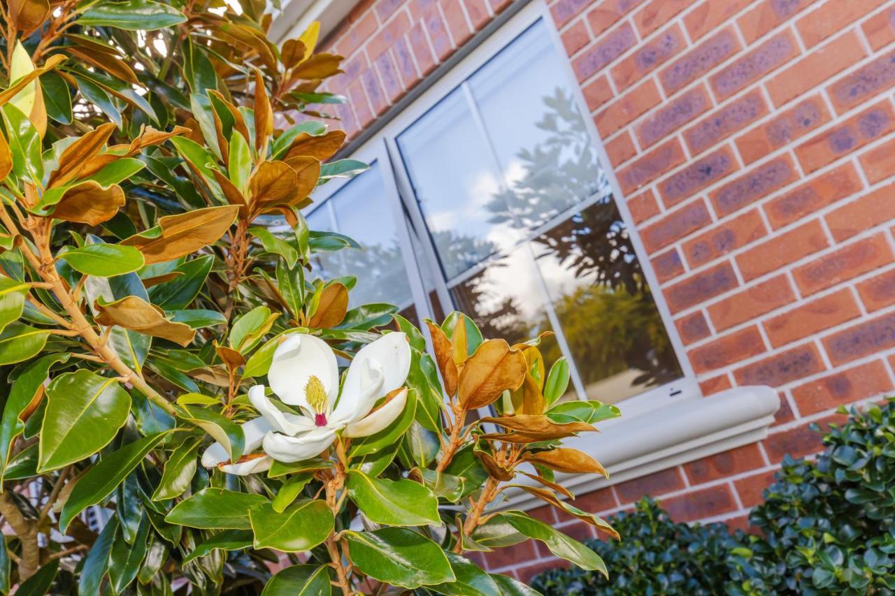 Sweet Magnolia 1 Or 2 Bedroom Suite St Kilda Cambridge With Complimentary Continental Breakfast Kültér fotó